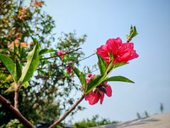 -风云岭森林公园