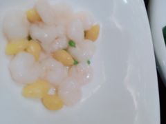 银杏果嫩虾仁-彩虹之约•淮扬家宴(亚运村店)