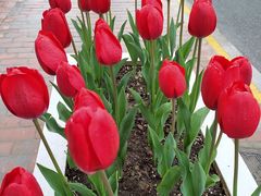 -衡山路(地铁站)