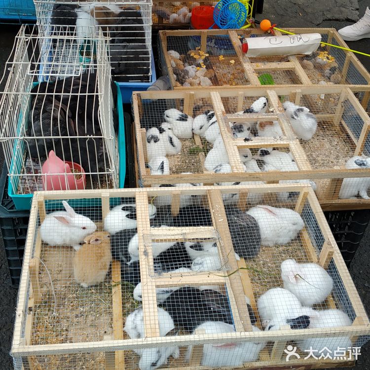 冒雨去探查鱼市搬迁进度