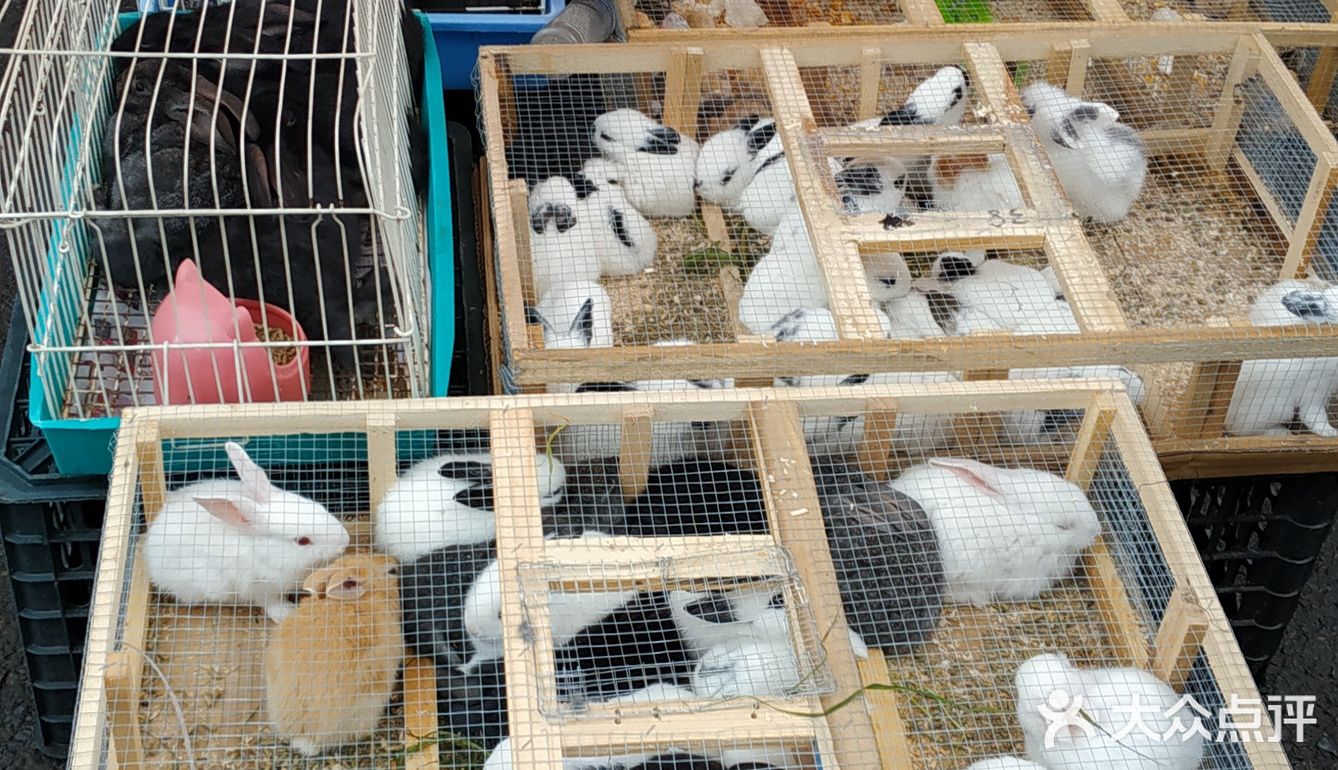 冒雨去探查鱼市搬迁进度