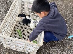 -菊园百果园