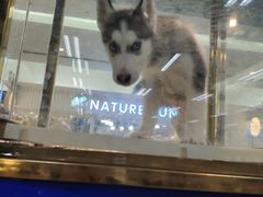 -乐宠宠物店(世纪金源店)