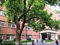 -浙江大学医学院附属第二医院眼科中心