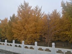 -北坞公园