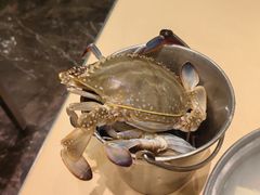 -初色海鲜自助(万丰路店)