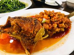 松鼠桂鱼-老苏州茶酒楼