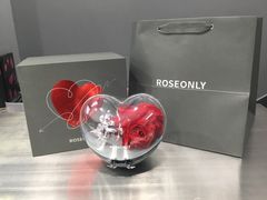 -ROSEONLY诺誓(广州K11店)