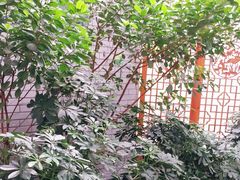 -华源足浴棋牌SPA