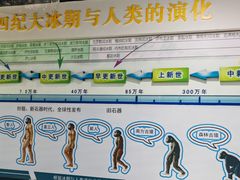 -中国第四纪冰川遗迹陈列馆