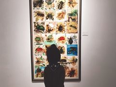 -上海油画雕塑院