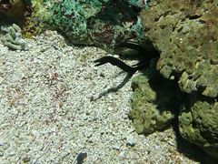 -大连老虎滩海洋公园