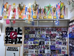 -成泰格斗(环球商业广场店)