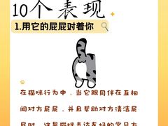 -荔康动物医院(康王北路店)