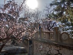 -颐和园