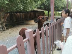 -泉州海丝野生动物世界