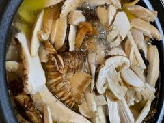 -蘑统田下·野生菌火锅