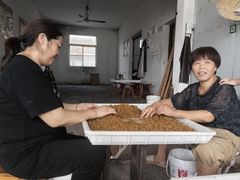 -苏州市吴中区光福窑上花果蜜饯厂