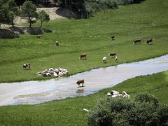 -库伦旗银沙湾旅游景区