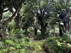 -云南勐巴娜西珍奇园