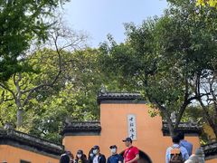 -鸡鸣赐茶(鸡鸣寺路店)