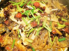 -老板恋上鱼(印象城店)