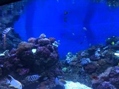 -成都浩海立方海洋公园