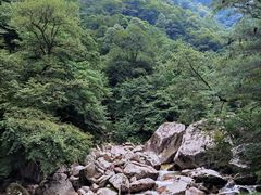 -青峰峡国家森林公园