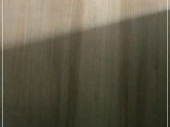 -新元素(丽都店)