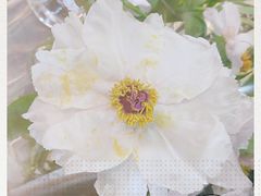 -花未央花店·WEYOUNG