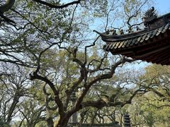 -普陀山风景名胜区-法雨禅寺