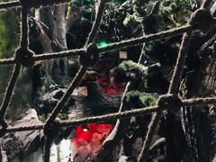 -多彩贵州城极地海洋世界