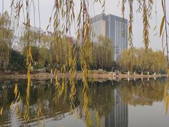 -后襄河公园