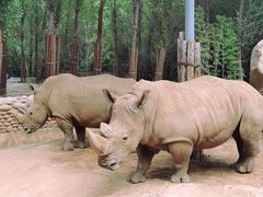 -北京野生动物园