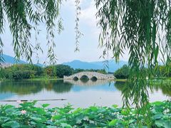-飞来湖湿地公园