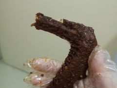 -周黑鸭(合肥滨湖区庐州大道悦方购物中心店)