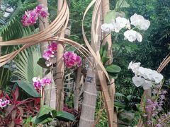 -北京植物园-展览温室