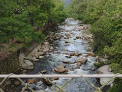 -海南热带雨林国家公园吊罗山景区