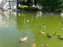 -香山公园-东宫门售票处