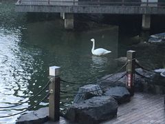 -上海怡沁园度假酒店