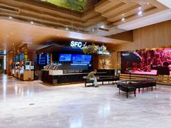 -SFC上影影城(港汇永华IMAX激光店)