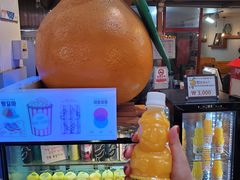 -西归浦每天偶来市场