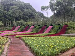 -广州市石门国家森林公园