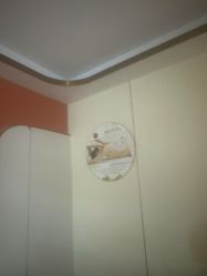 -金美秀瘦身养生