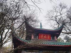 -果呀呀(国金街店)
