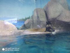 -福州罗源湾海洋世界旅游区