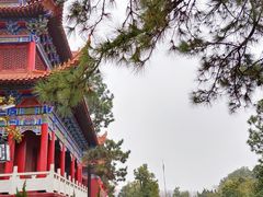 -开福禅寺