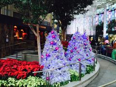 -香港尖沙咀凯悦酒店