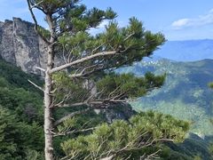 -牛背梁国家森林公园