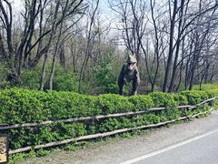 -大连铭湖国际观光牧场